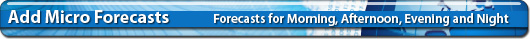 Add Micro Forecasts
